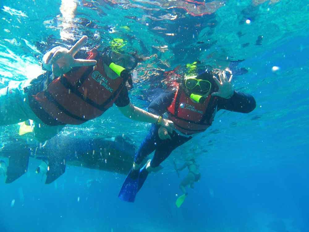 Nusa Penida: 4-Spot Snorkeling Package